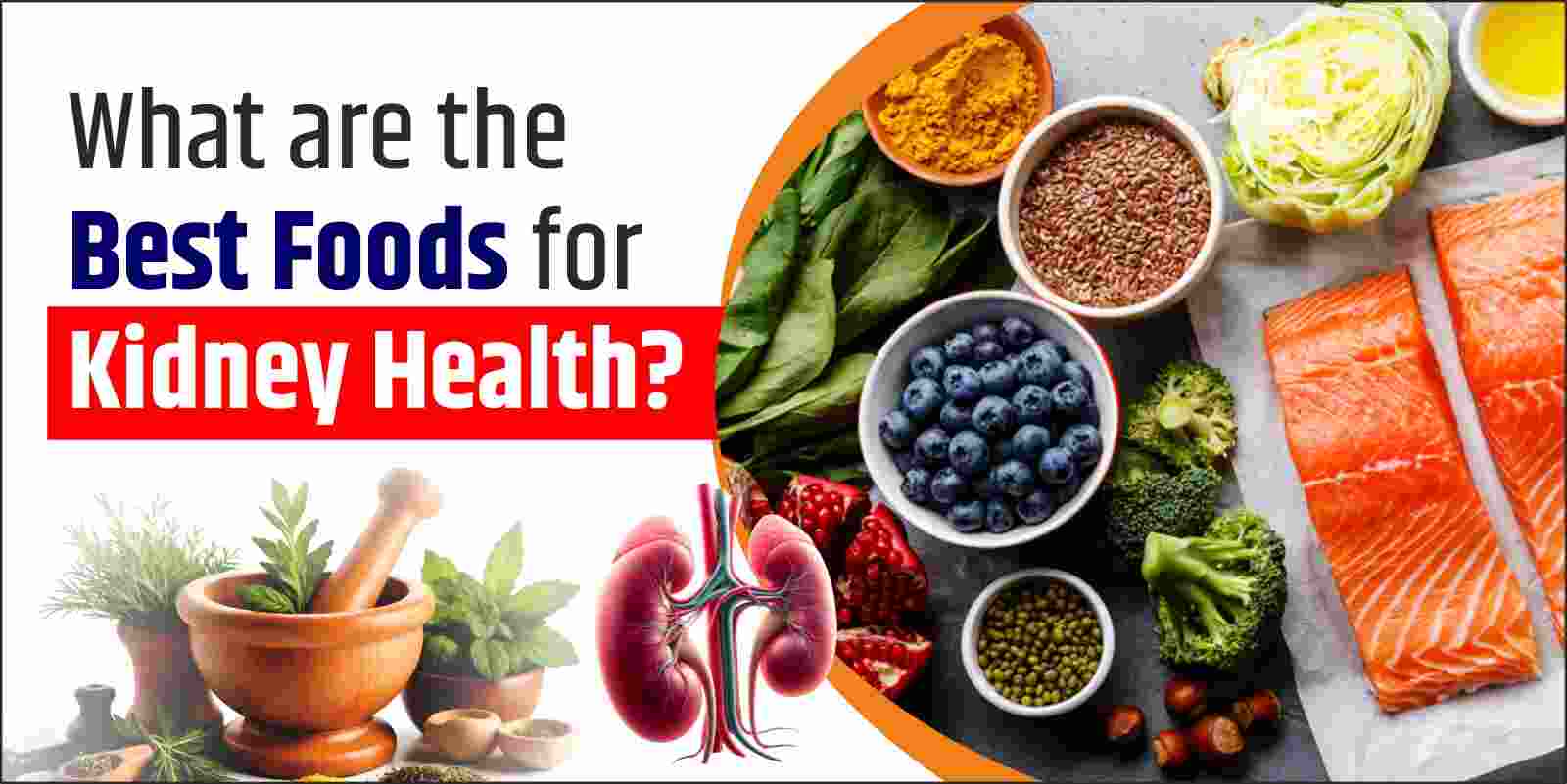 What are the best foods for kidney health?